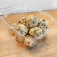 Bake at Home Chocolate Chip Cookie Dough